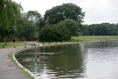 June192008_2817.jpg