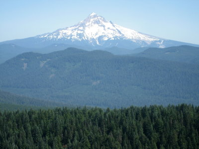 Larch Mountain 2008