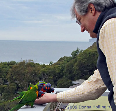 Peter, Feeding the Lorikeets