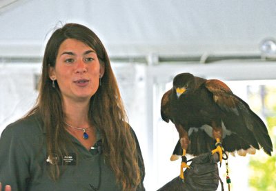 Amala and Harris's Hawk named Harry