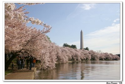 washington_dc