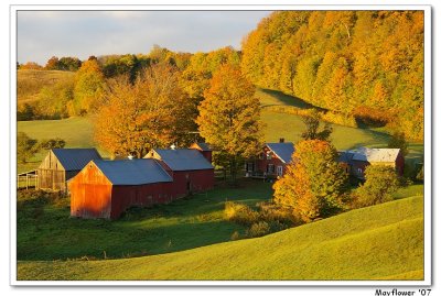 Fall at Vermont