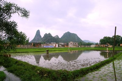 IMGP9544.JPG
