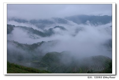 IMGP9064.jpg