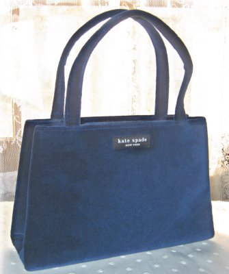 blue velvet bag