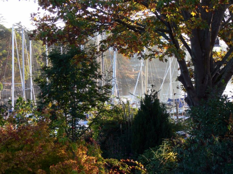 Early morning view at West Bay Marina in Victoria Harbour