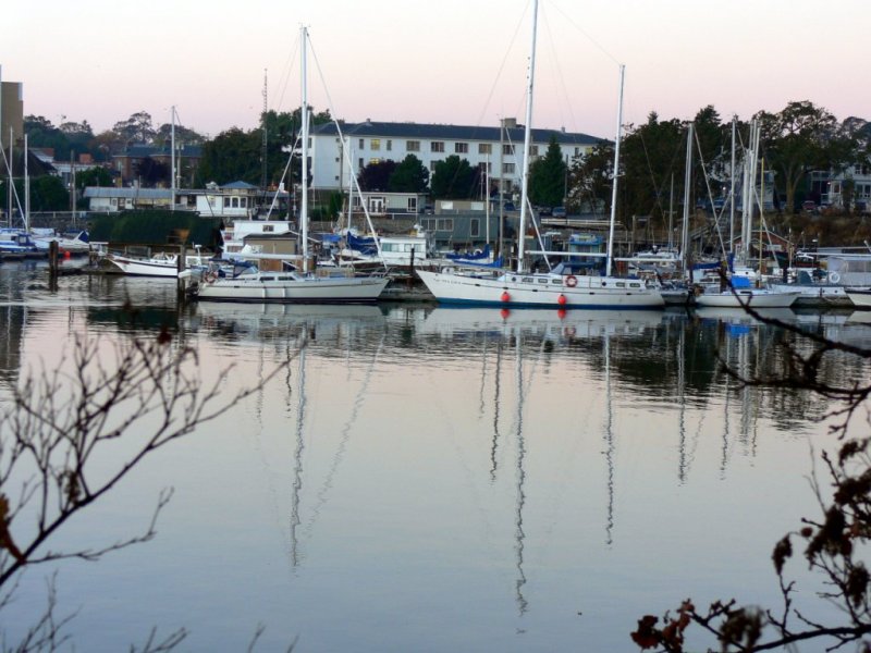 Early morning view at West Bay Marina in Victoria Harbour