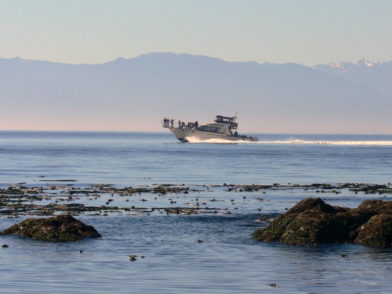 Heading out to sea on the Straits of Juan de Fuca