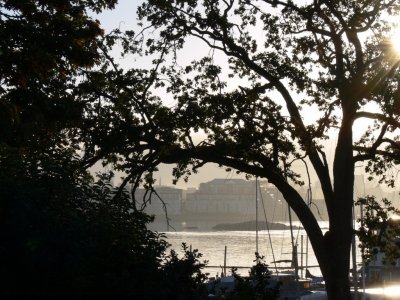 Early morning view at West Bay Marina in Victoria Harbour