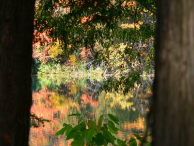 The colours of fall....