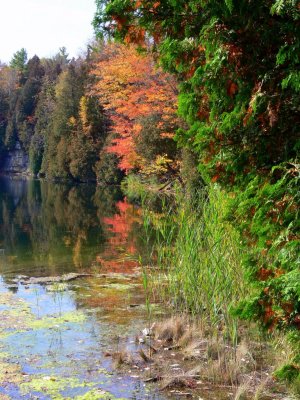 The colours of fall....