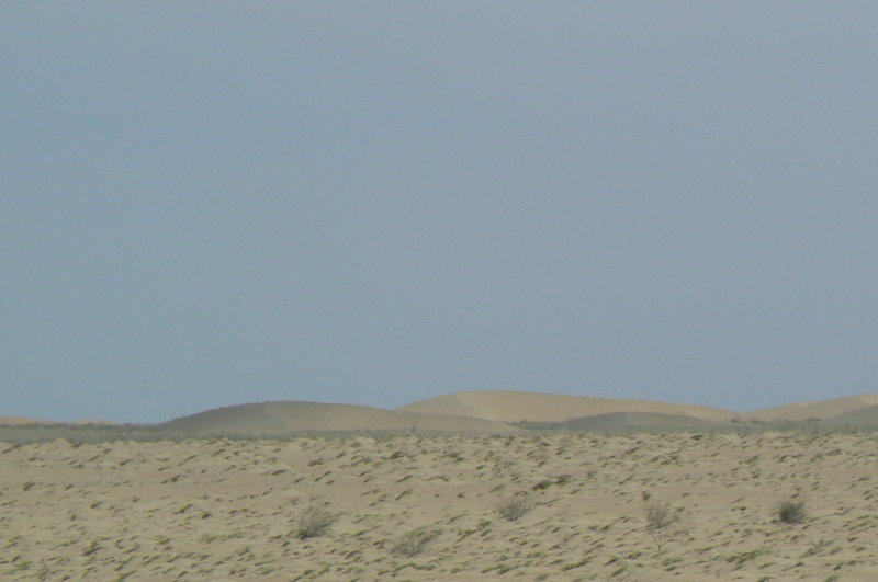 P1030490.JPG