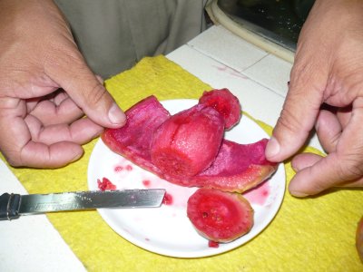P1010242.JPG