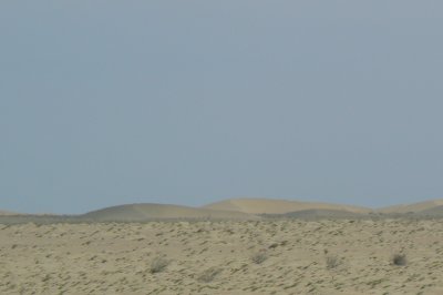 Desierto de Sechura, viajando a Cliclayo, a 3 horas de Piura.