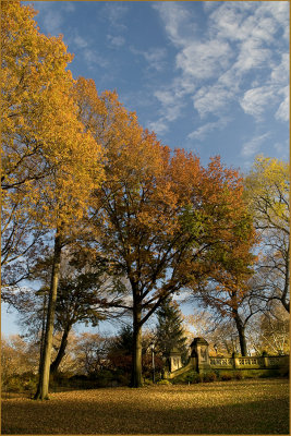  central park autumn