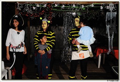 The bee family