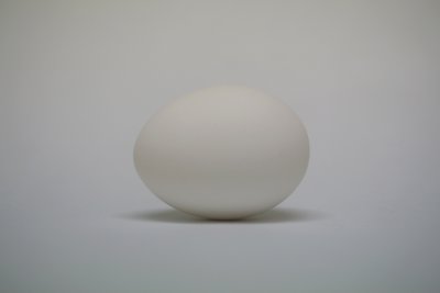 egg.jpg