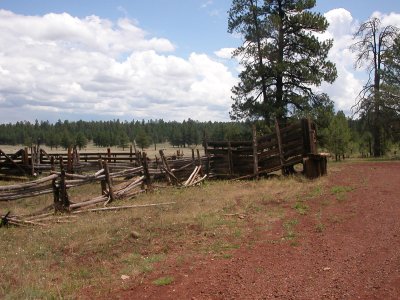 old fences on road to lake