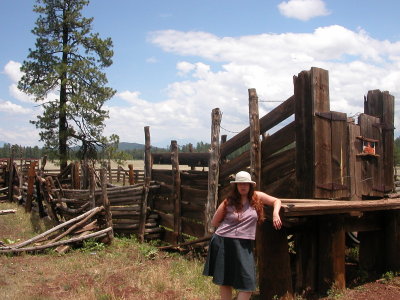 old fences on road to lake
