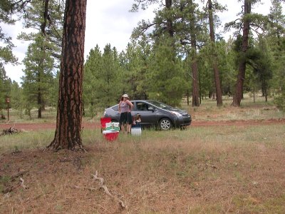 picnie area