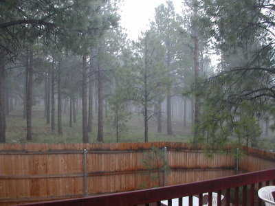 Misty rain, 7/21/08