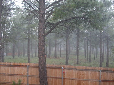 view from the back sliding glass door