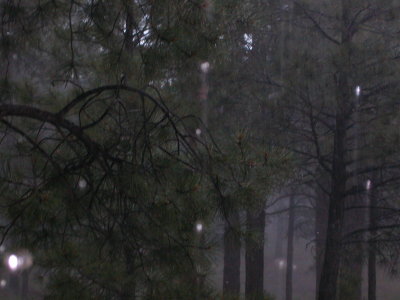 Interesting and kinda magical of the rain