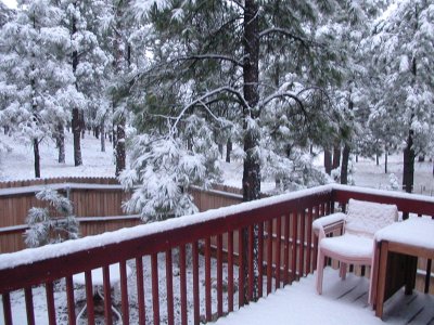 Back deck & forest