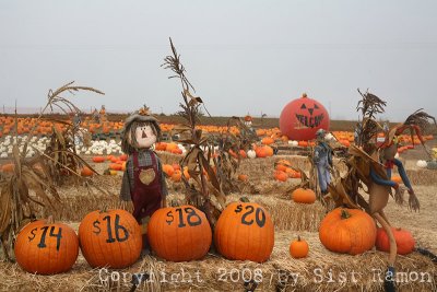 g5/65/644165/3/104041256.vYD3LQ8j.jpg