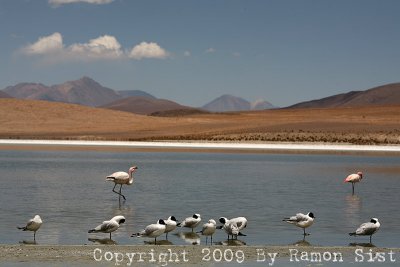 IMG_2763.jpg