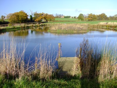 Looking  north  across  the  fishing  lake.