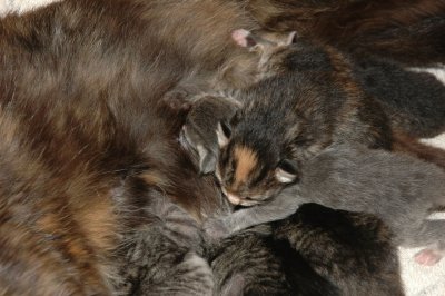 DSC_4022.jpg