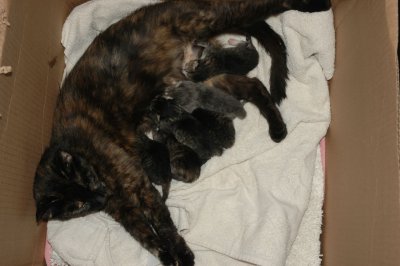 DSC_4026.jpg