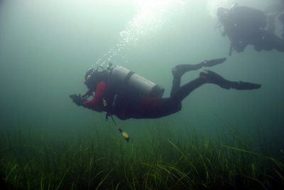 Student doing a Navigation Dive at Paddys