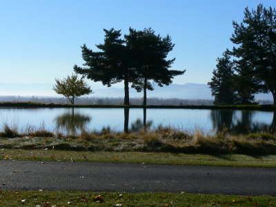 Pond by 18th tee