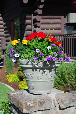 Buffalo Hill Planter