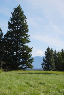 Hole 3 Tee View