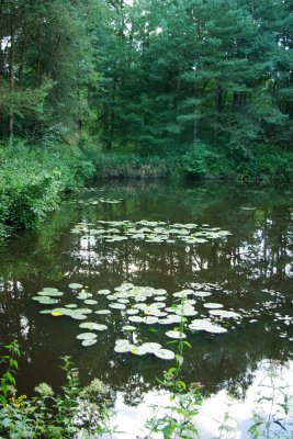 Ruth's pond