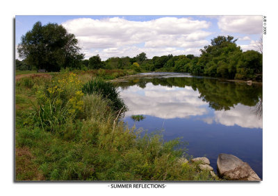 Summer Reflections