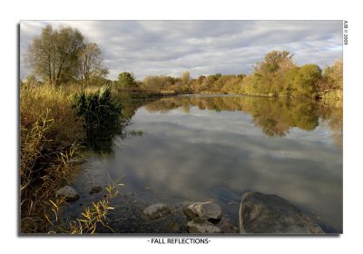 Fall Reflections