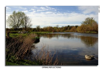 Spring Reflections