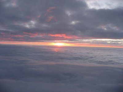 IMG_2597.jpg