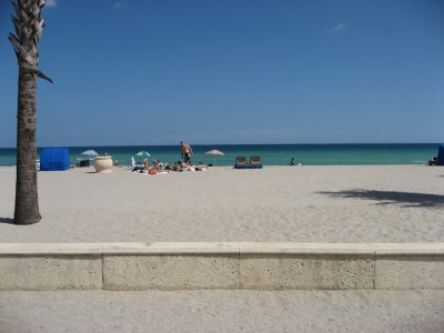 IMG_2605.jpg