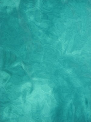 IMG_2701.jpg