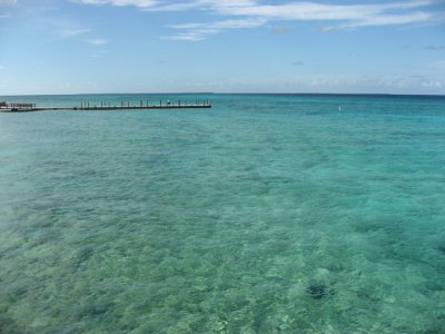 IMG_2703.jpg