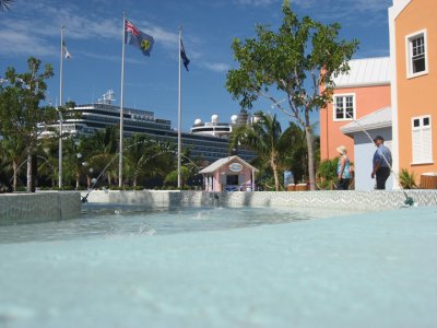 IMG_2725.jpg