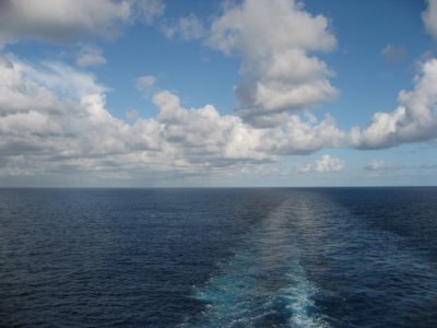 IMG_2791.jpg