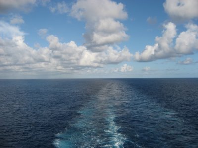 IMG_2792.jpg