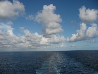 IMG_2793.jpg