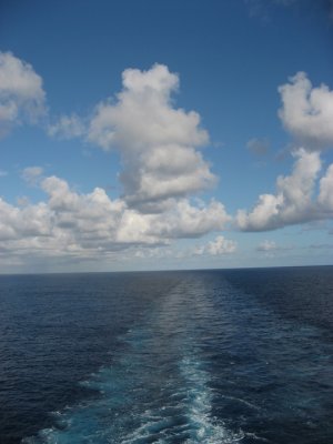 IMG_2794.jpg